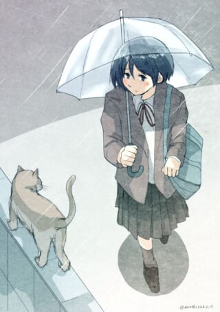 雨の中、透明傘をさして歩く女子高生と猫