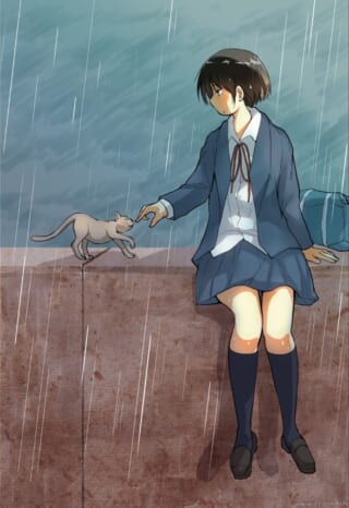 雨の中、猫に指を差し出す制服姿の少女