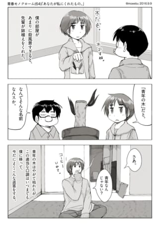 オズ先輩がハセガワに鉢植えを贈る日常を描いた漫画